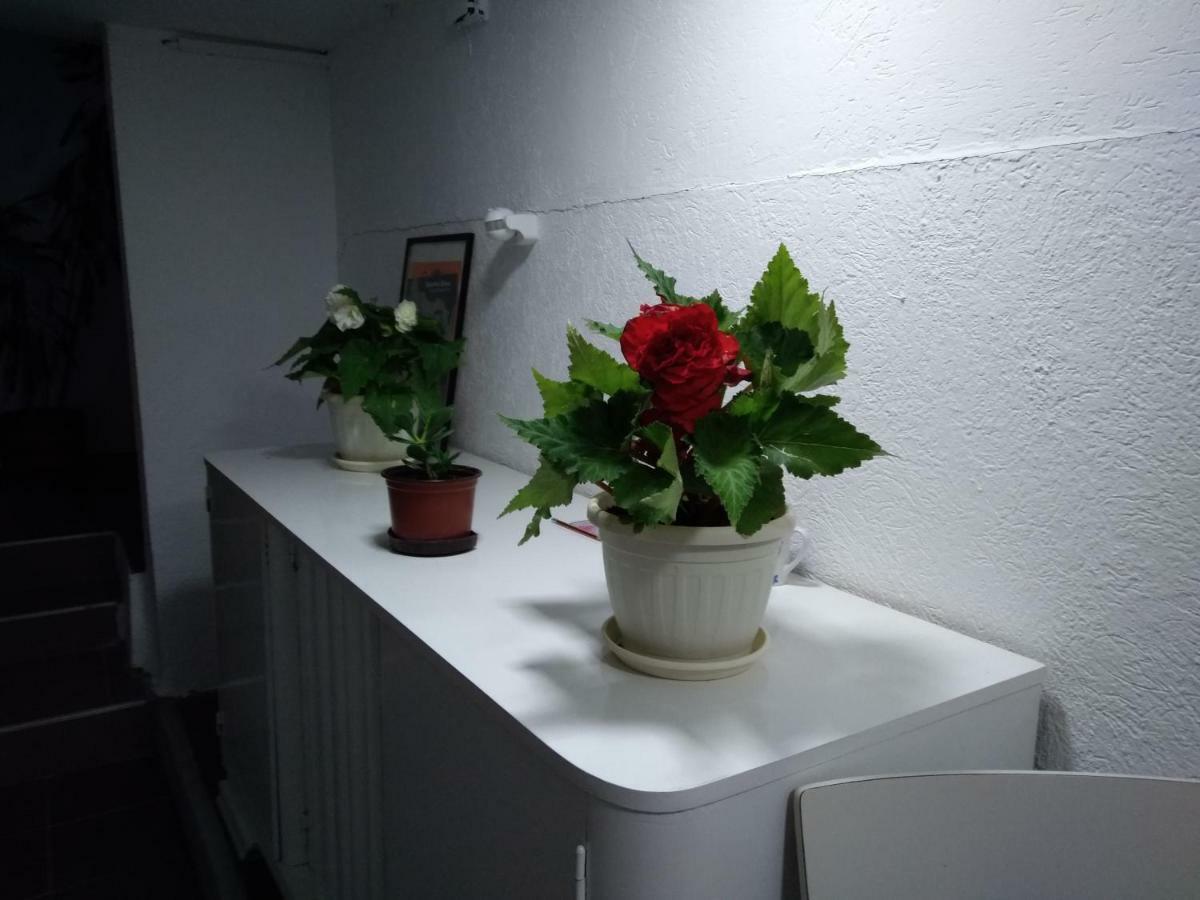 Garmani Apartment Vrnjačka Banja Екстериор снимка