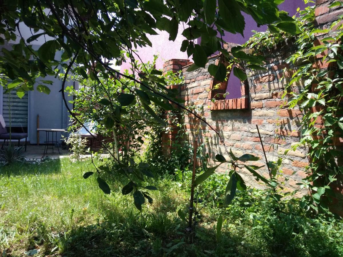 Garmani Apartment Vrnjačka Banja Екстериор снимка