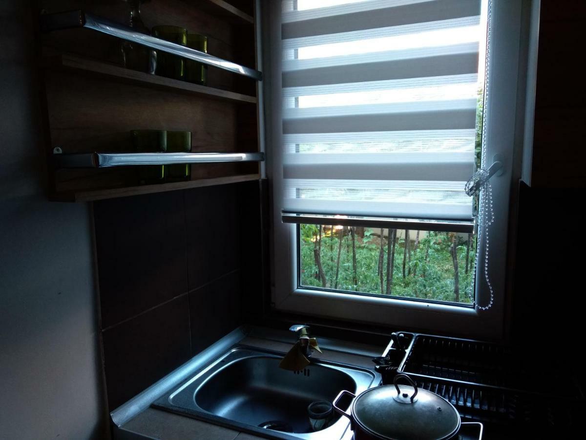 Garmani Apartment Vrnjačka Banja Екстериор снимка